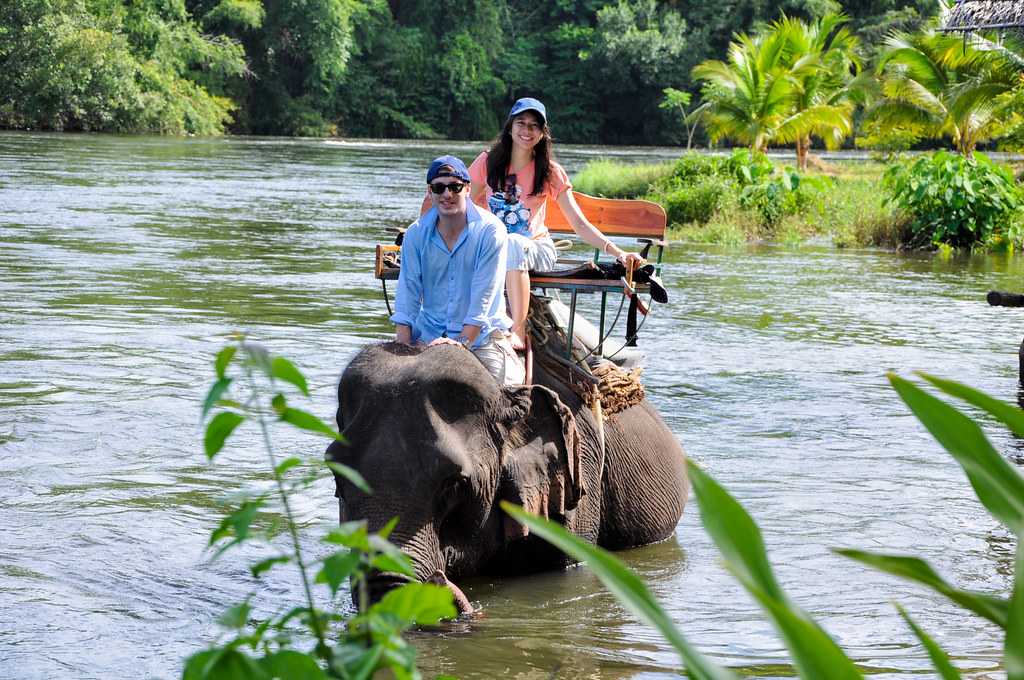 elephant trip bangkok