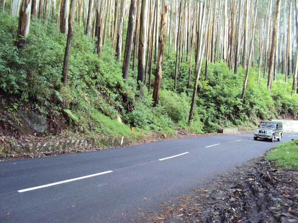 Mumbai to Ooty by Car