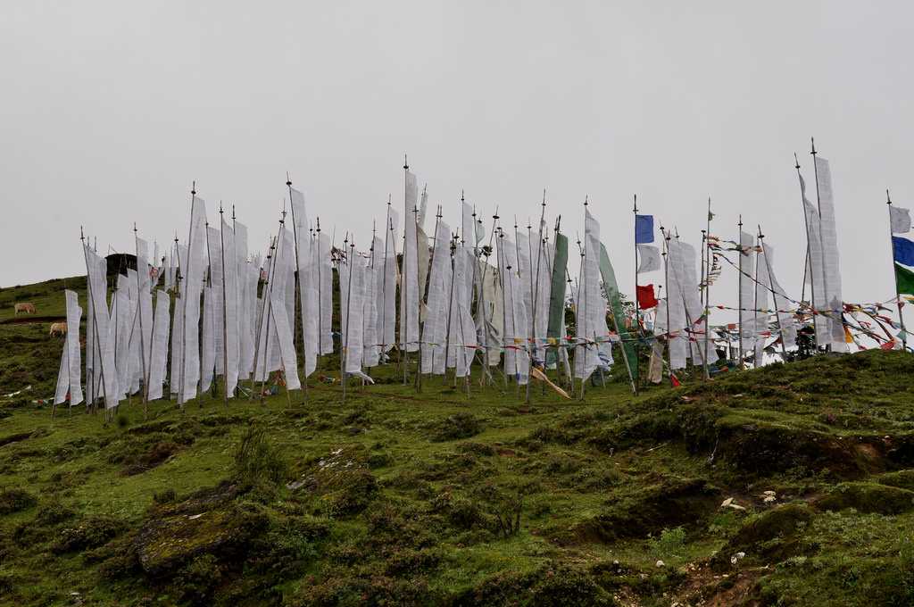 Prayer Flags at Chele La Pass Bhutan