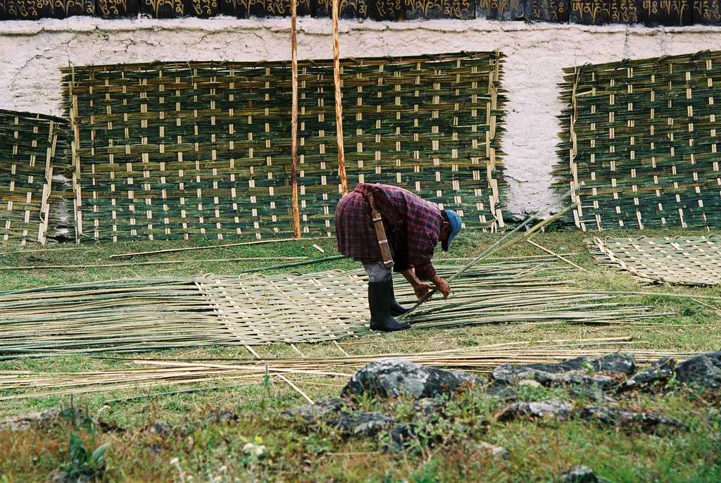 Cane Weaving in Bhutan