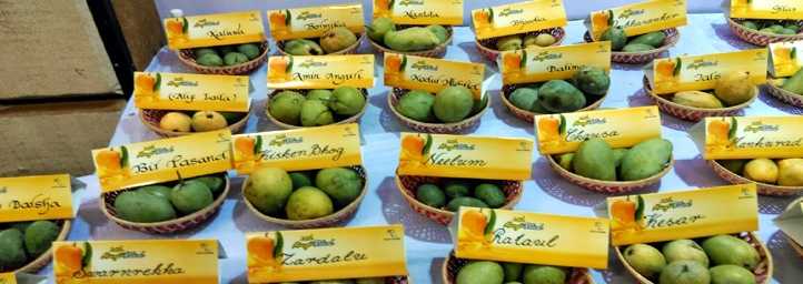  Chandigarh Mango Festival 