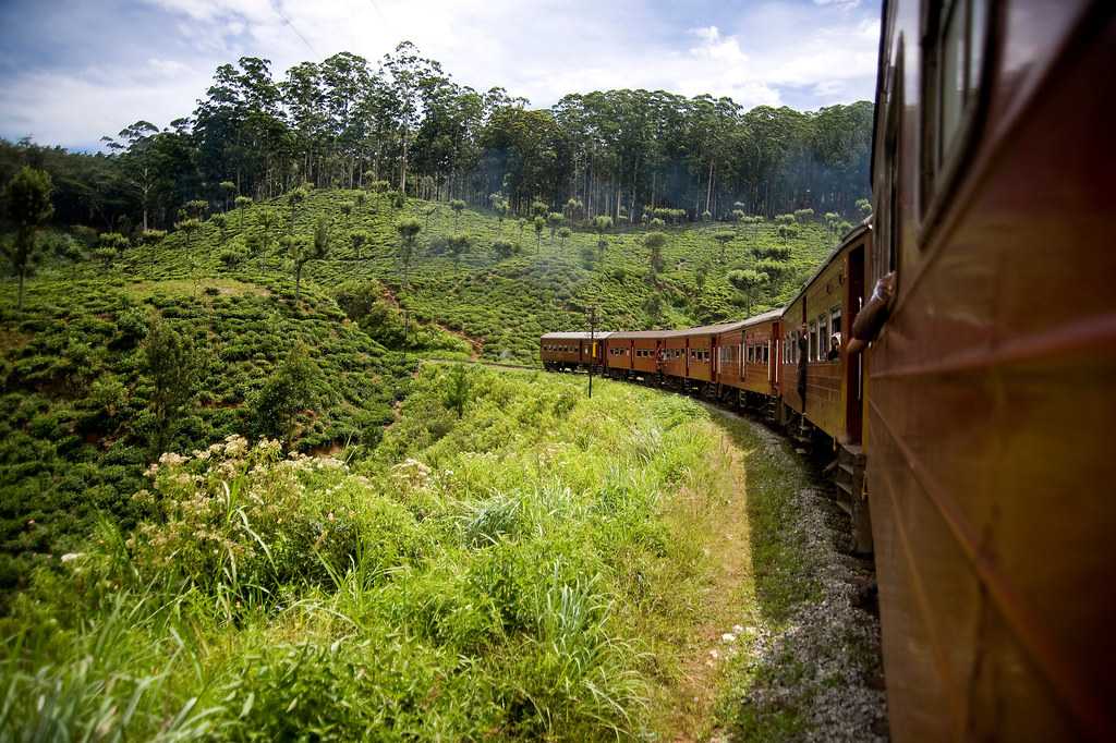 Train in Sri Lanka