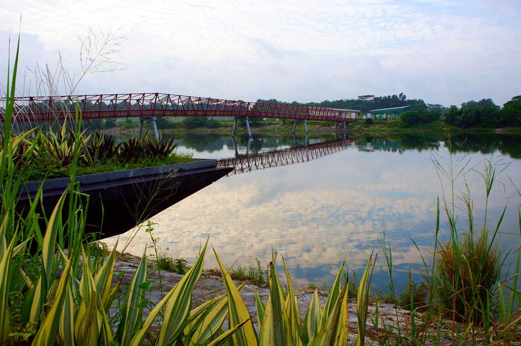 Serangoon Reservoir, Fishing in Singapore