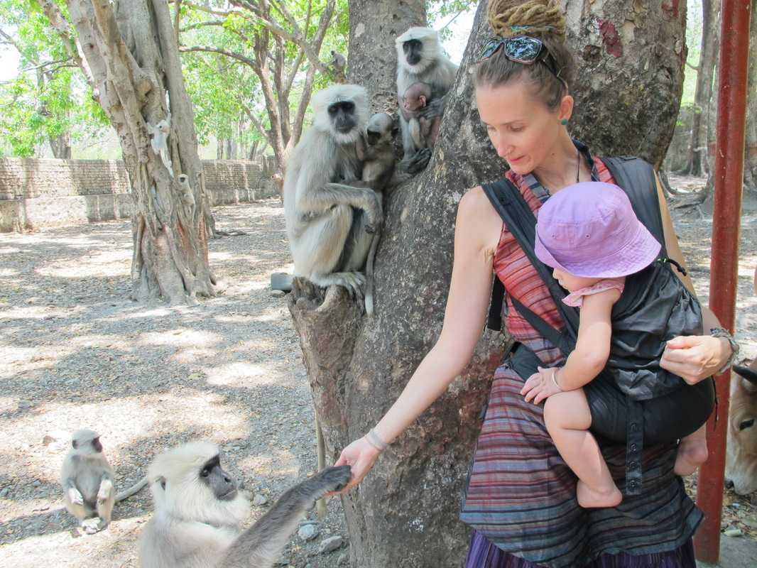 Rishikesh Travel Guide For Foreigners
