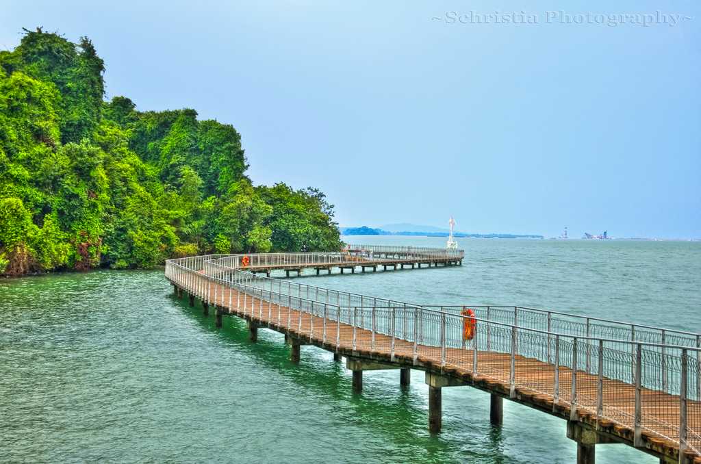 Chek Jawa Boardwalk Singapore