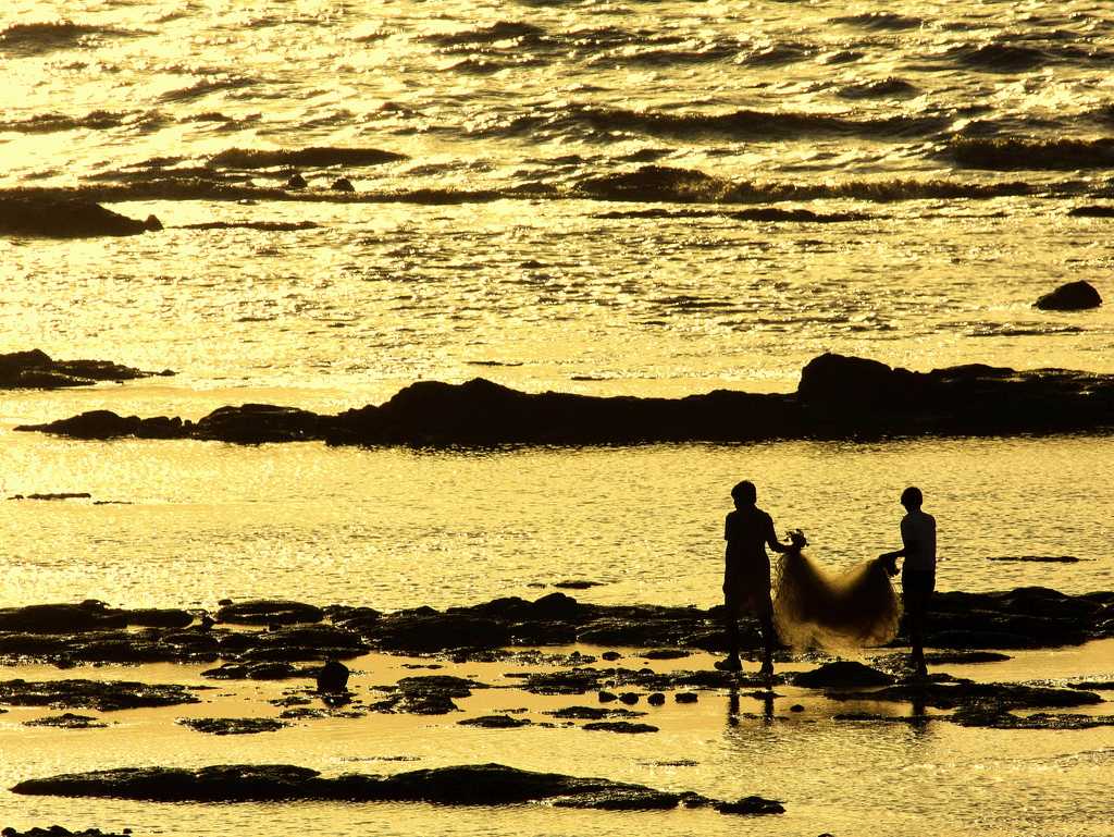 Golden hue of the daman coast