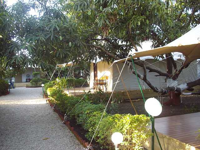 Interesting facts about gir national park picture