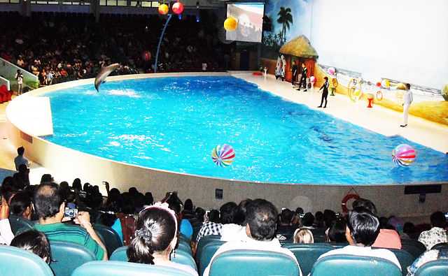 Dubai Dolphinarium at Deira