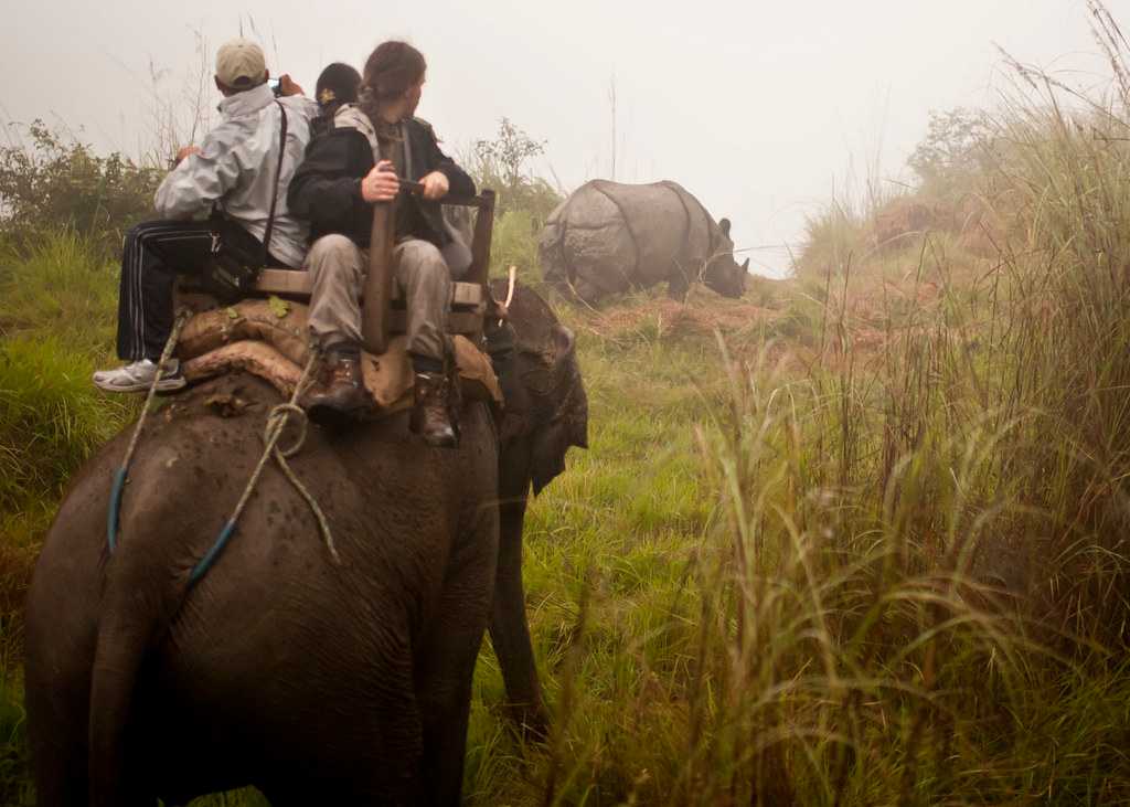Chitwan National Park, an irresistable natural landscape of Nepal.