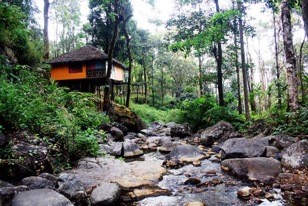 Resort in Vythiri Wayanad