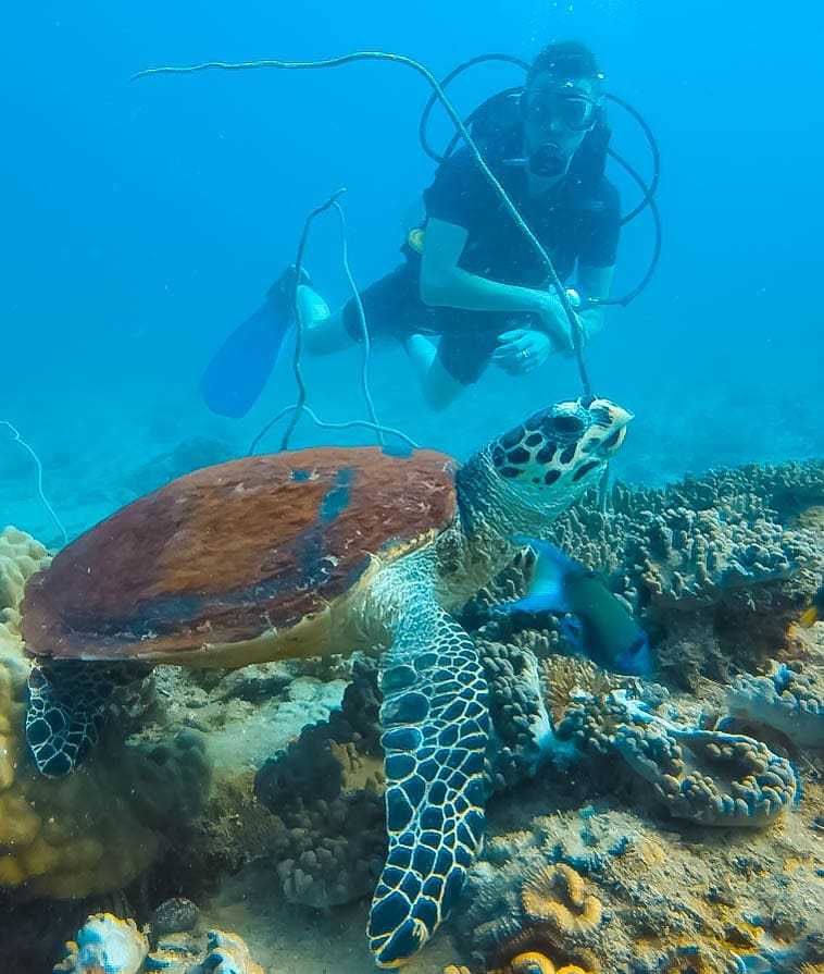 weekend dive trips from singapore