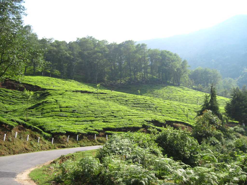 mumbai to munnar road trip