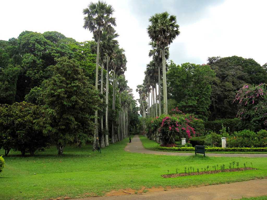 Kandy, Sri Lanka