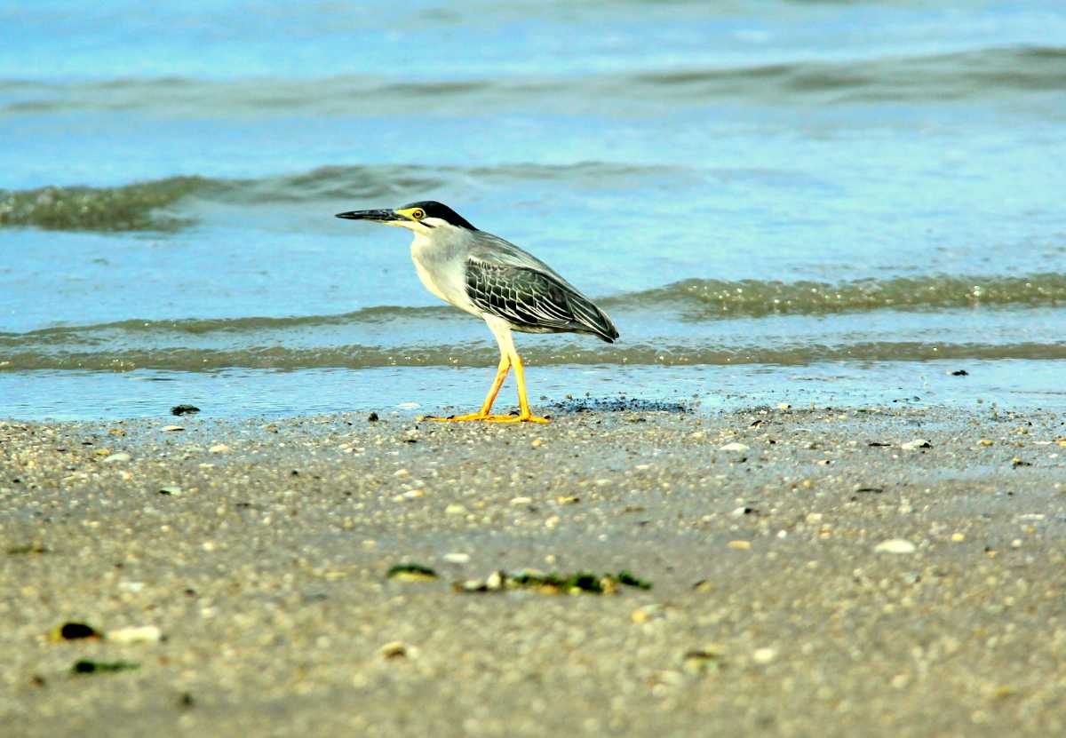 Jerejak Island Penang