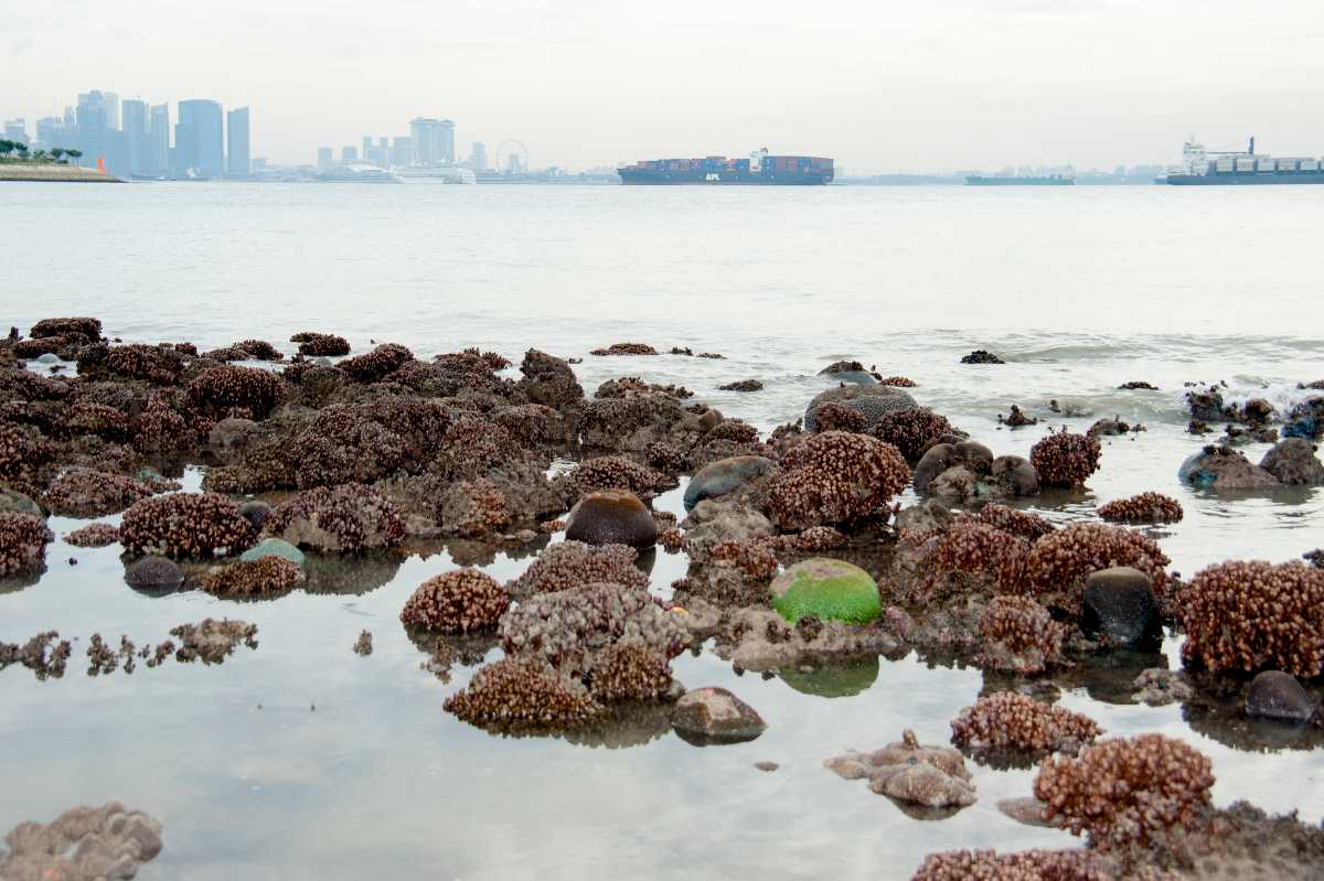 Kusu Island Singapore