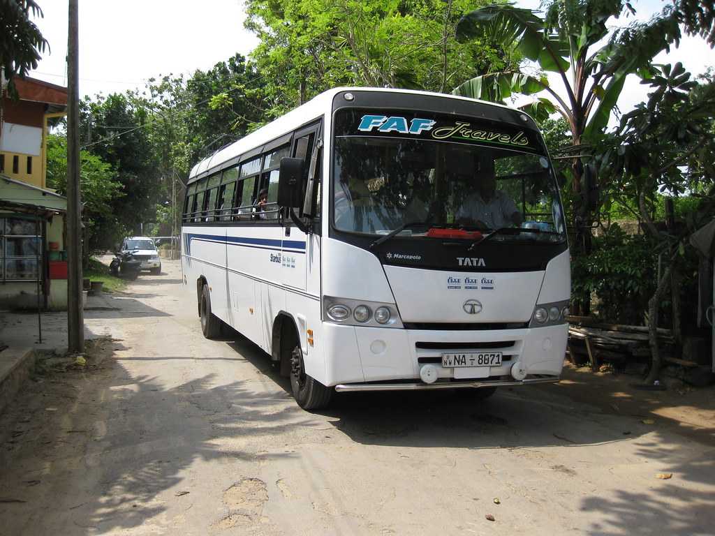 Buses to Dambulla