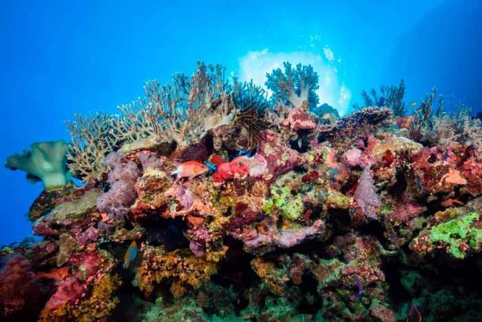 Great Barrier Reef