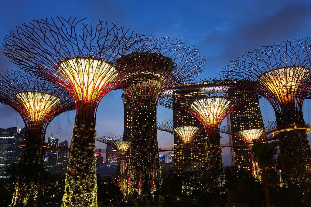Supertree Grove Singapore - Gardens by the Bay - Light Show