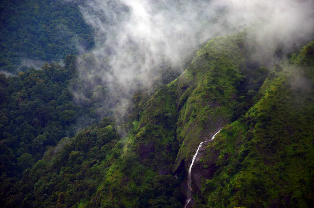 केरल की खूबसूरती का लेना चाहते हैं आनंद, जानें TOP-5 पर्यटन स्थल-Want to enjoy the beauty of Kerala, know TOP-5 tourist places