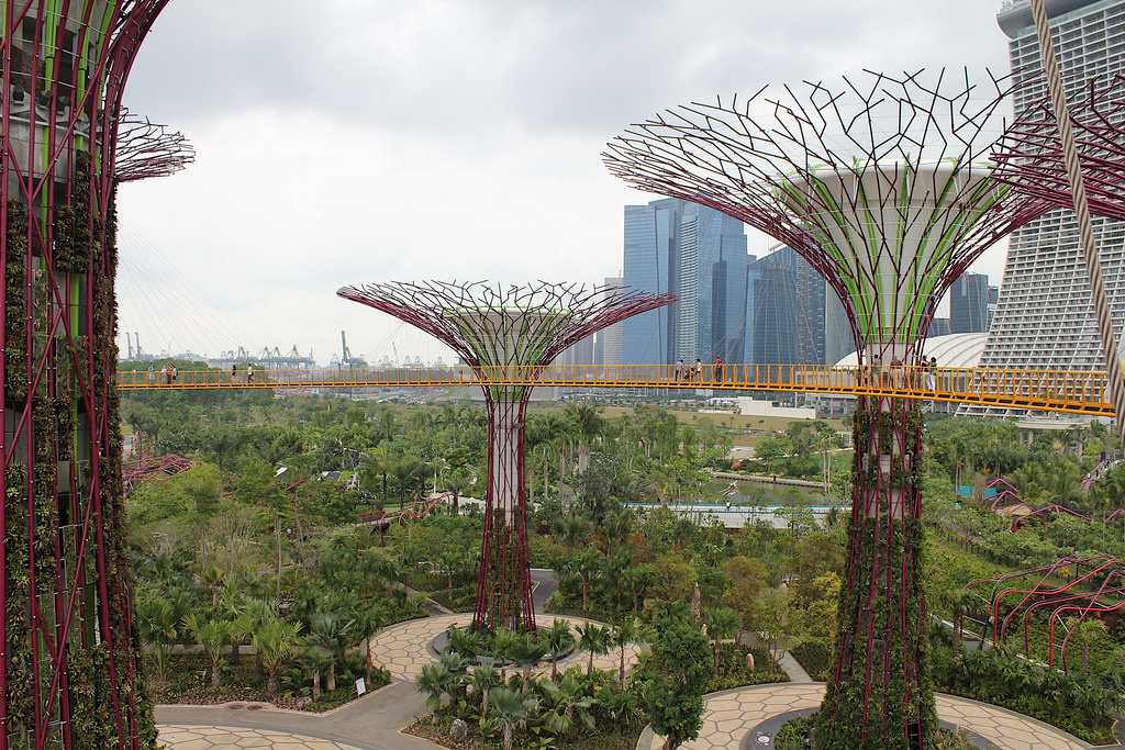 OCBC Skyway at Gardens by the Bay
