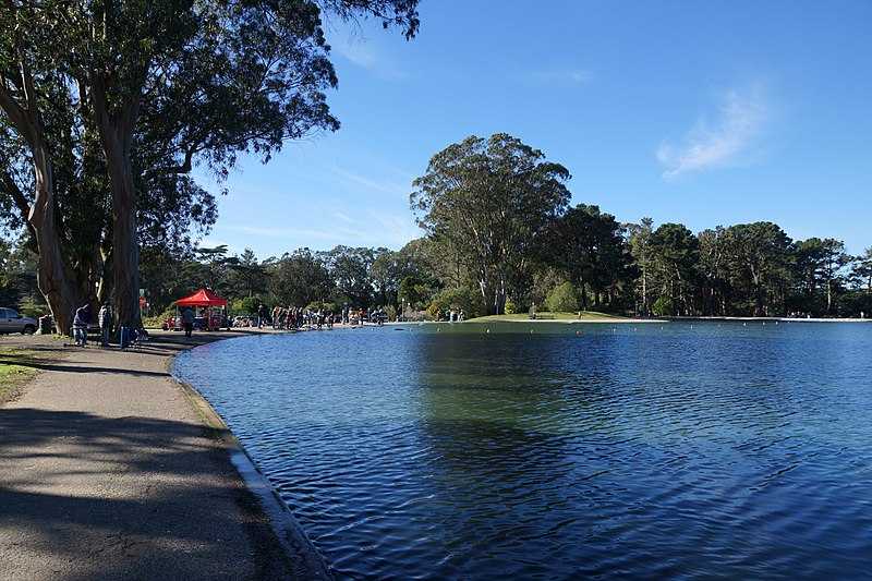 Spreckels Lake Golden Gate Park Lakes of California San Francisco