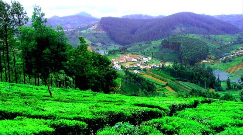 Ooty