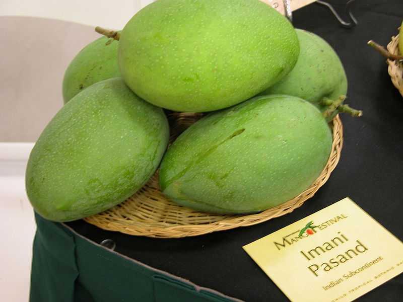 Imam Pasand, Mangoes in India