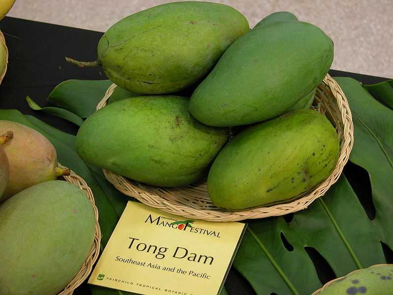 Mangoes at vendors