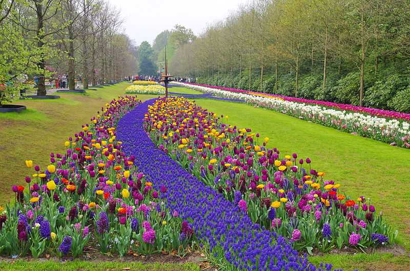 Different garden styles observed at Keukenhof