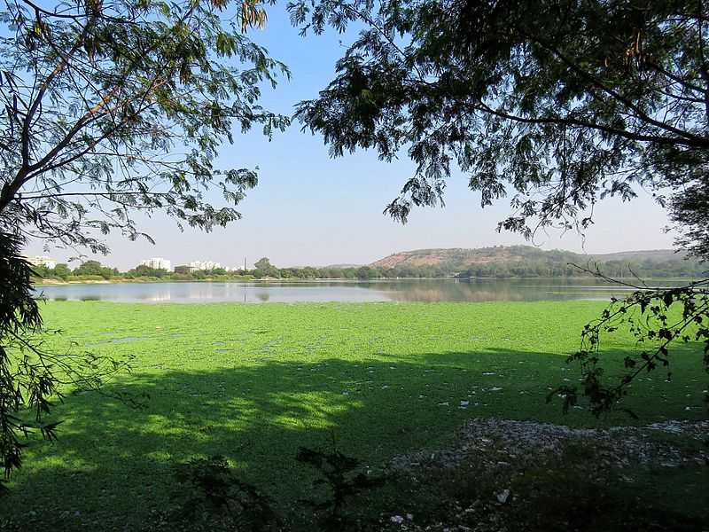 Pashan Lake, Best Places to visit in Pune