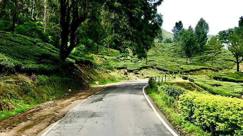 Road to Munnar