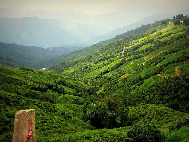 Darjeeling: Holding the old-world charm of the past | BloggersInsights