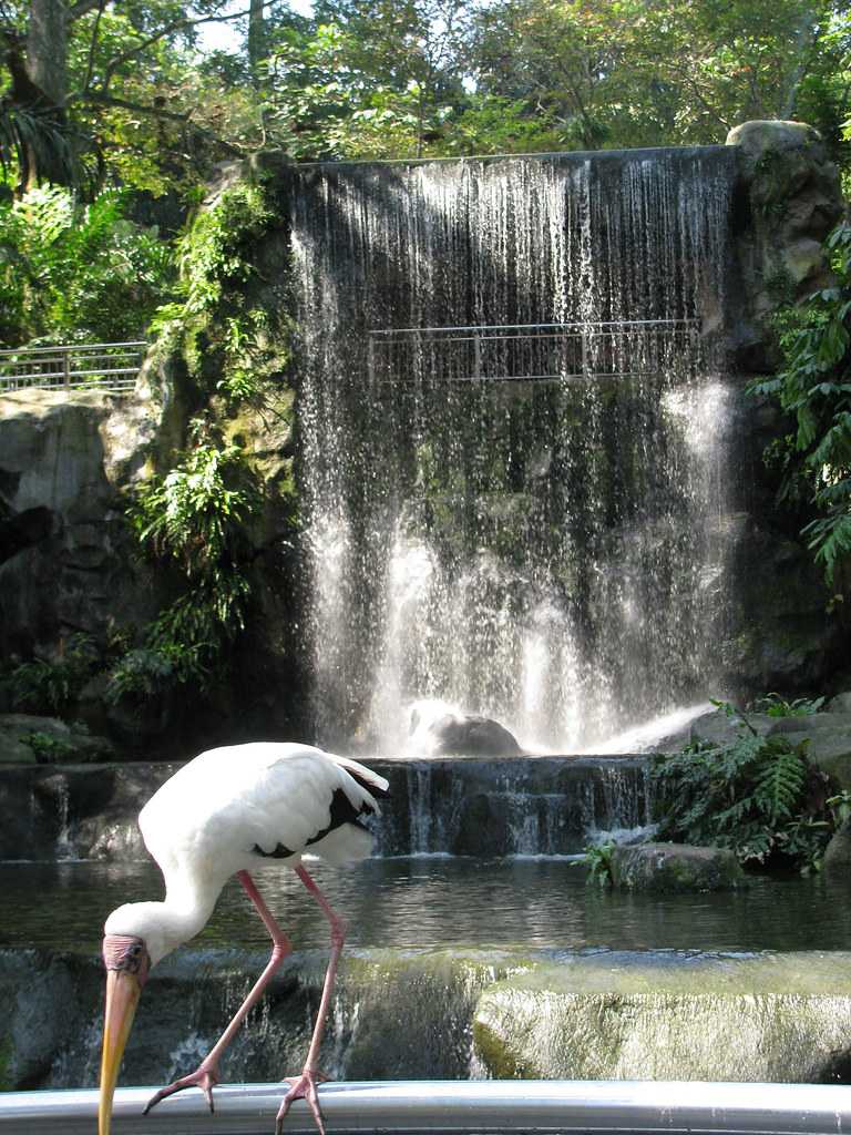 Kuala Lumpur Bird Park, Malaysia