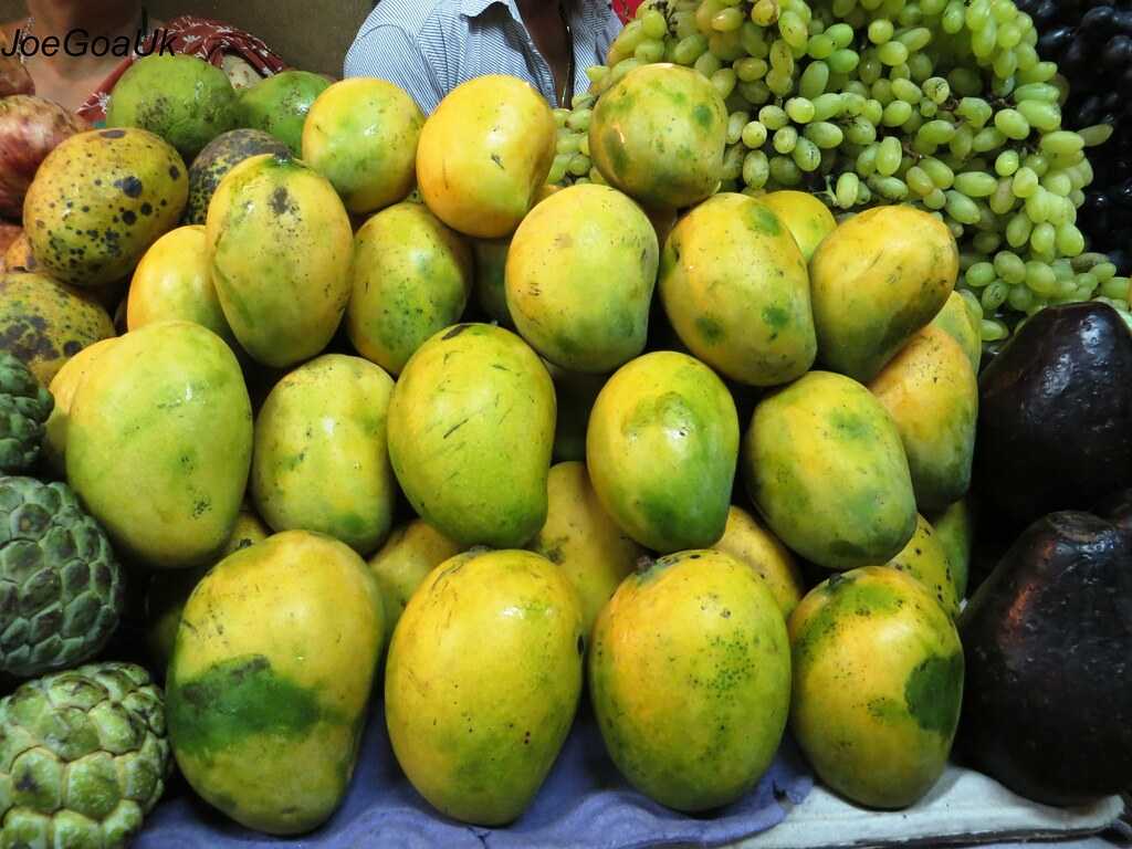 Neelam Mangoes, Mangoes in India