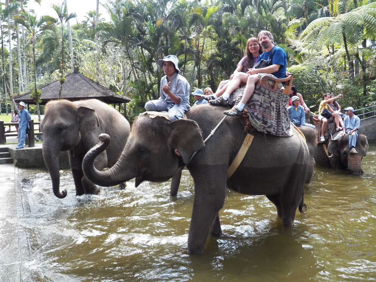 elephant ride bali safari
