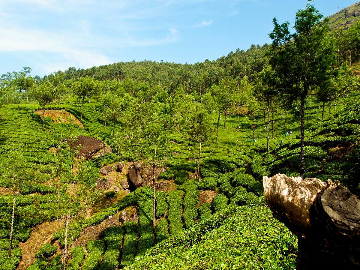 solo travel places in south india