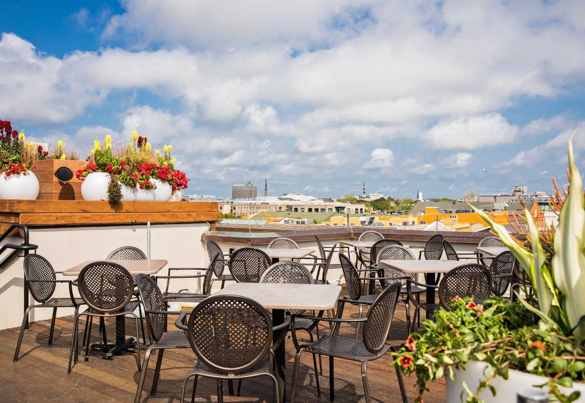 Revelry Brewing & Rooftop - Rooftop bar in Charleston