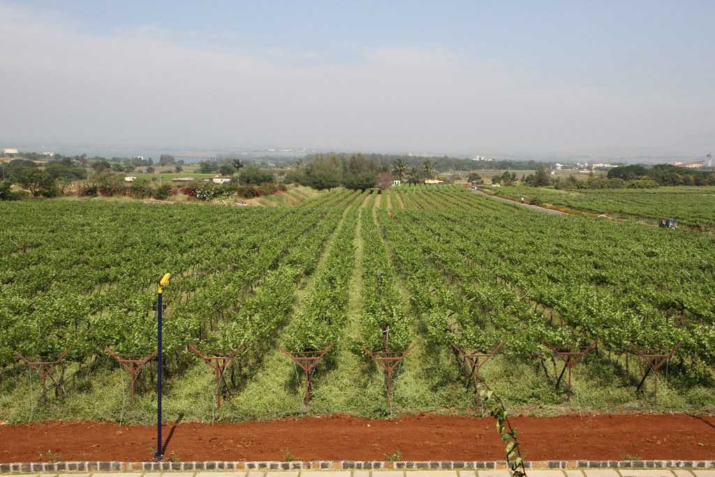 Nashik