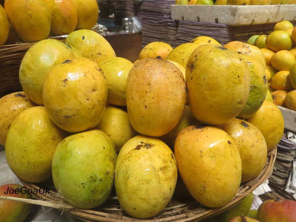 Mankurad Mangoes, Mangoes in India