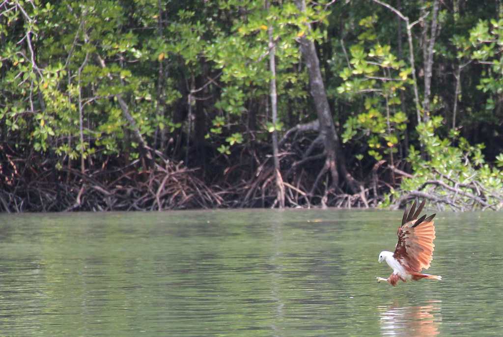 Kilim Geoforest Park