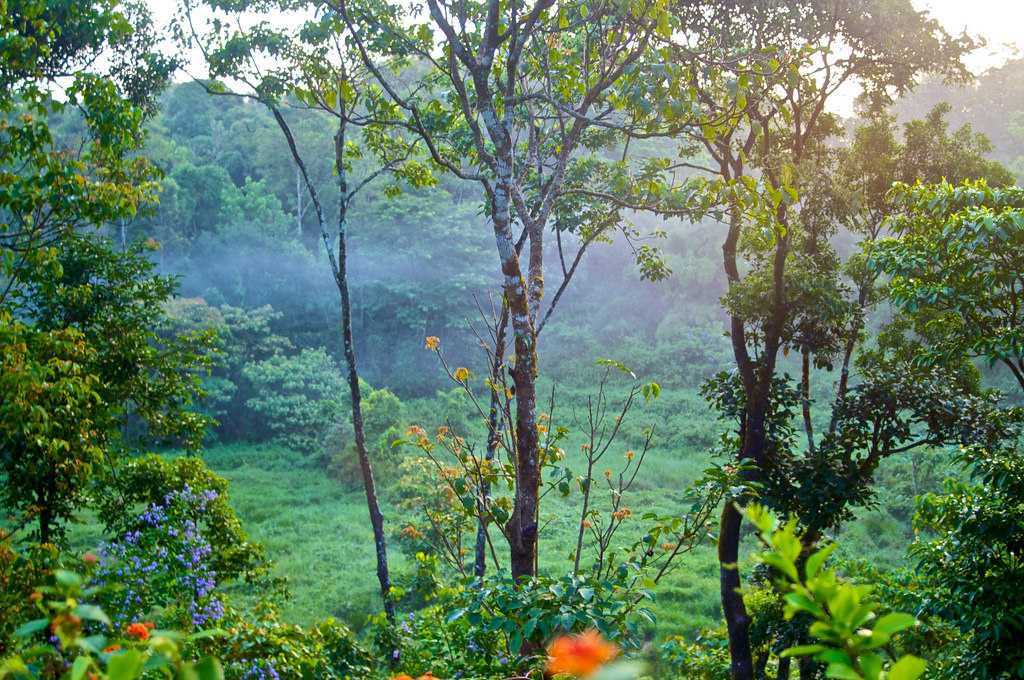 Summer Season, Madikeri