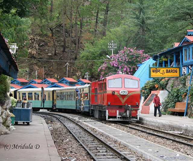Barog, Solan, Himachal Pradesh | Places to Do | Things to See | Holidify