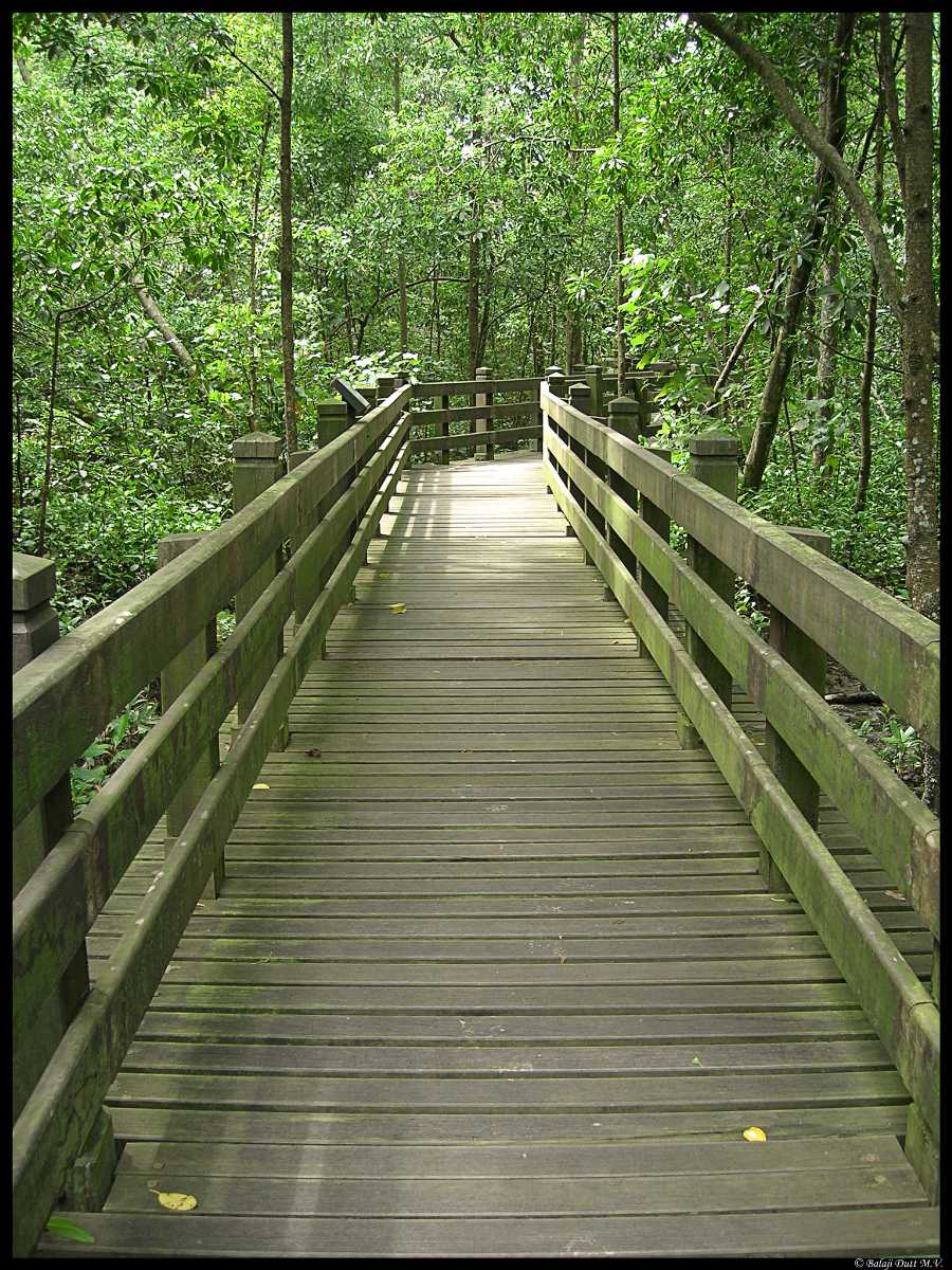 Sungei Buloh Wetland Reserve