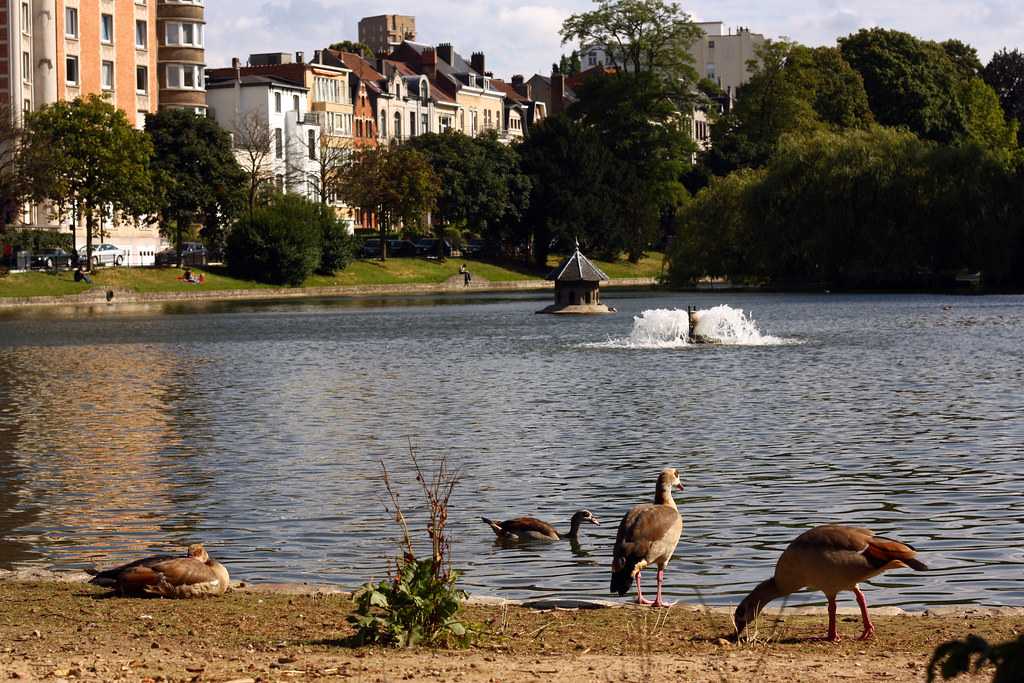 ixelles lake, abbaye de la cambre