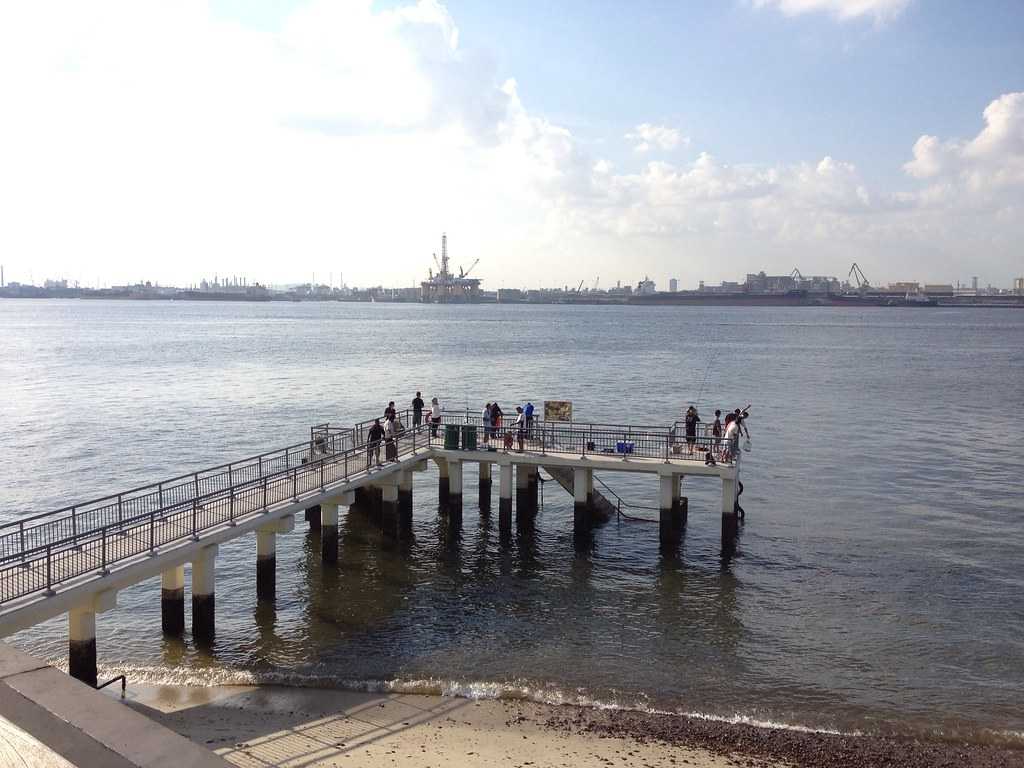 Punggol Point Jetty, Fishing in Singapore