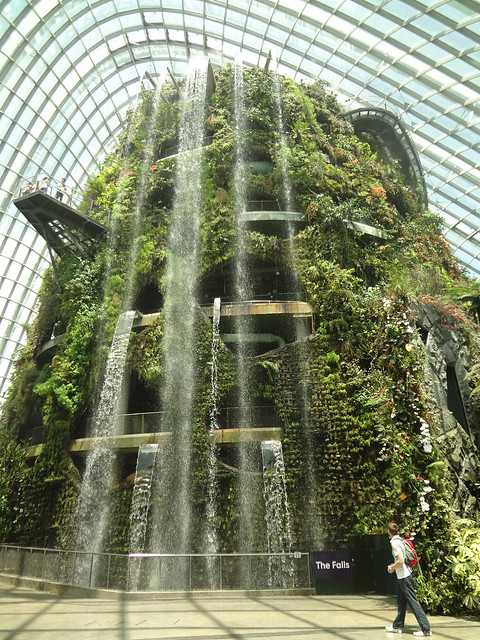 Cloud Forest Waterfall