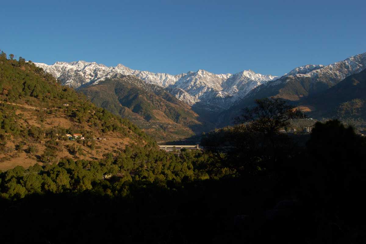 A view of Palampur, Himachal 