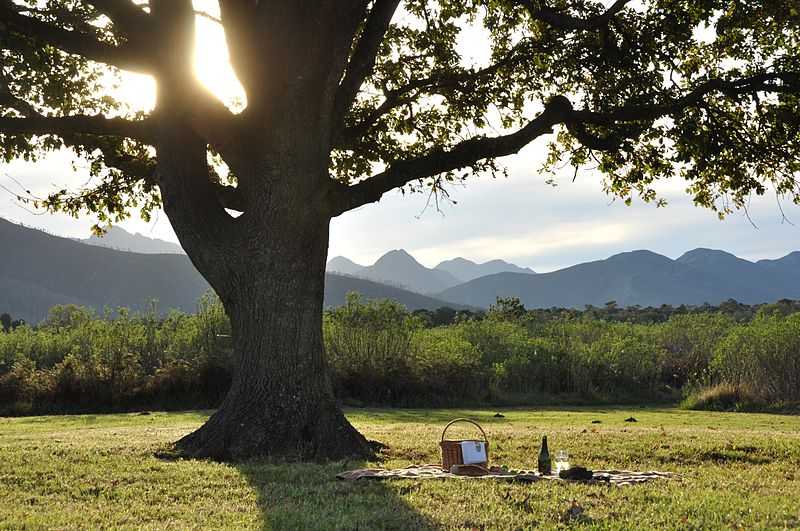 Anand, Picnic Spots near Vadodara