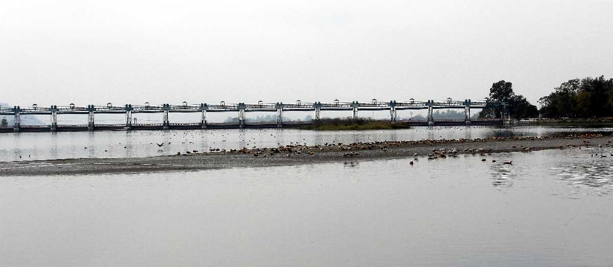 Asan Barrage, Boating in India