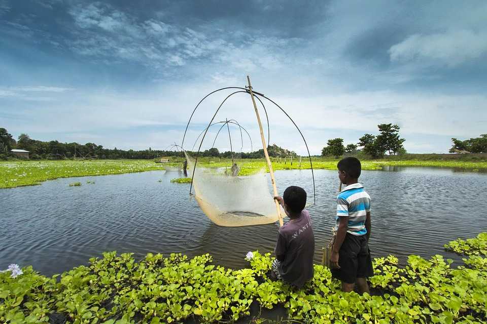 Assam, Top States That Are Promoting Eco-tourism In India